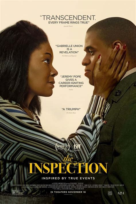 the inspection dvdscreener|The Inspection (Movie, 2022) .